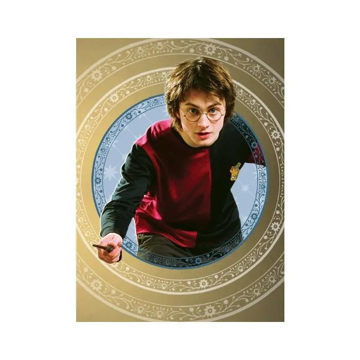 Harry Potter Magical Inspiration Trading Cards Eco Blister