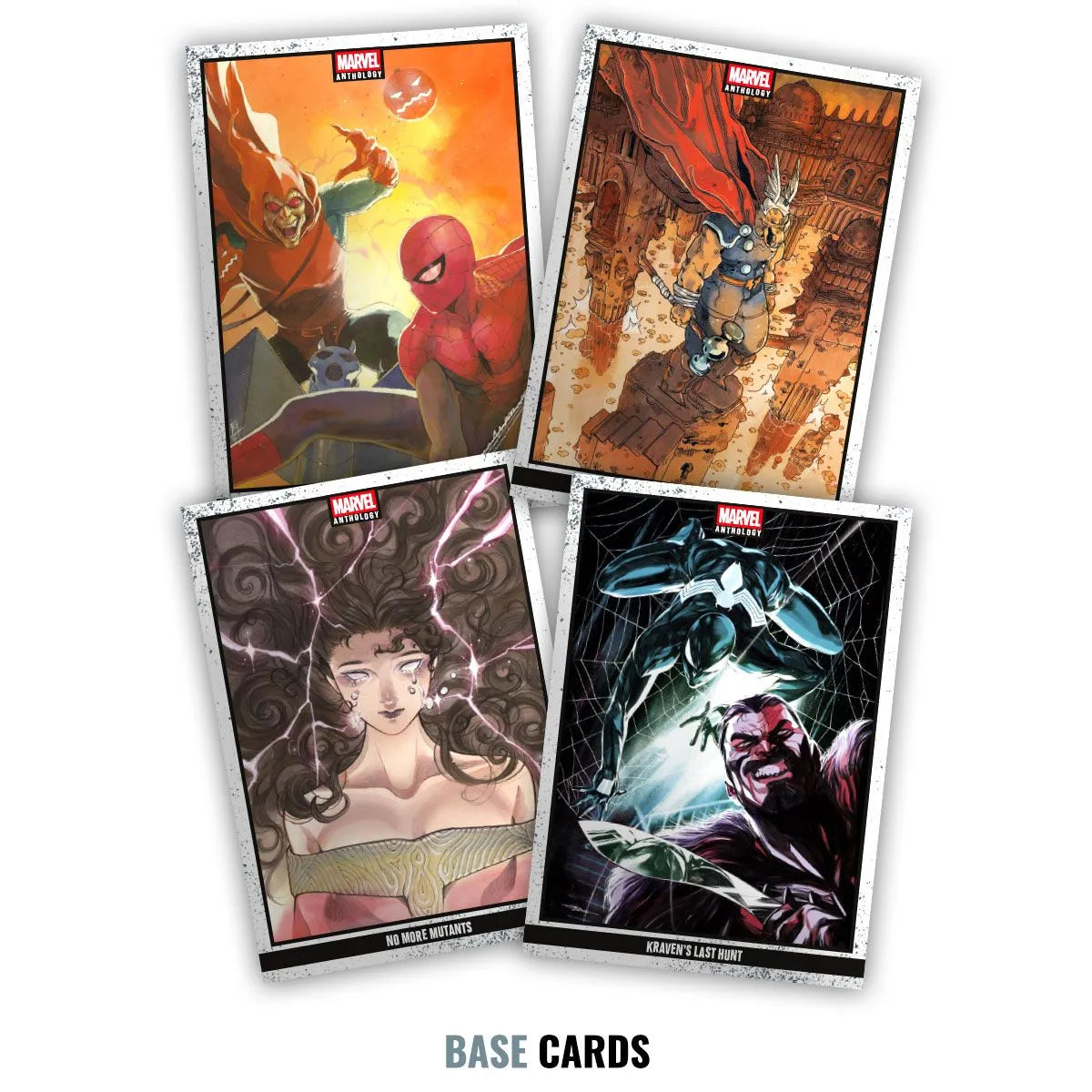 Panini Marvel Anthology Treasure Box