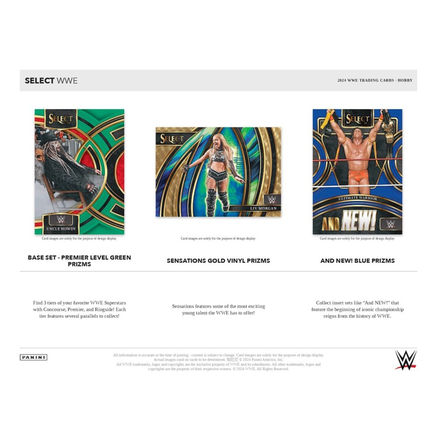 Panini Select WWE Wrestling Hobby International Box 2024