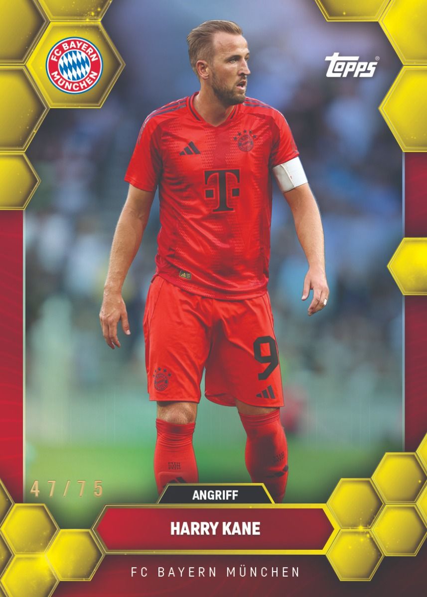 Topps FC Bayern Fan Set 24/25