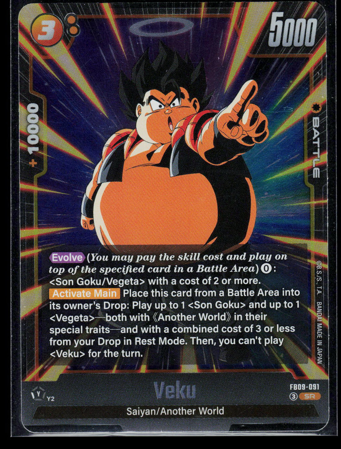 Veku FB09-091 (EN)