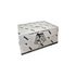Panini Mosaic Football Fat Pack Box 2024