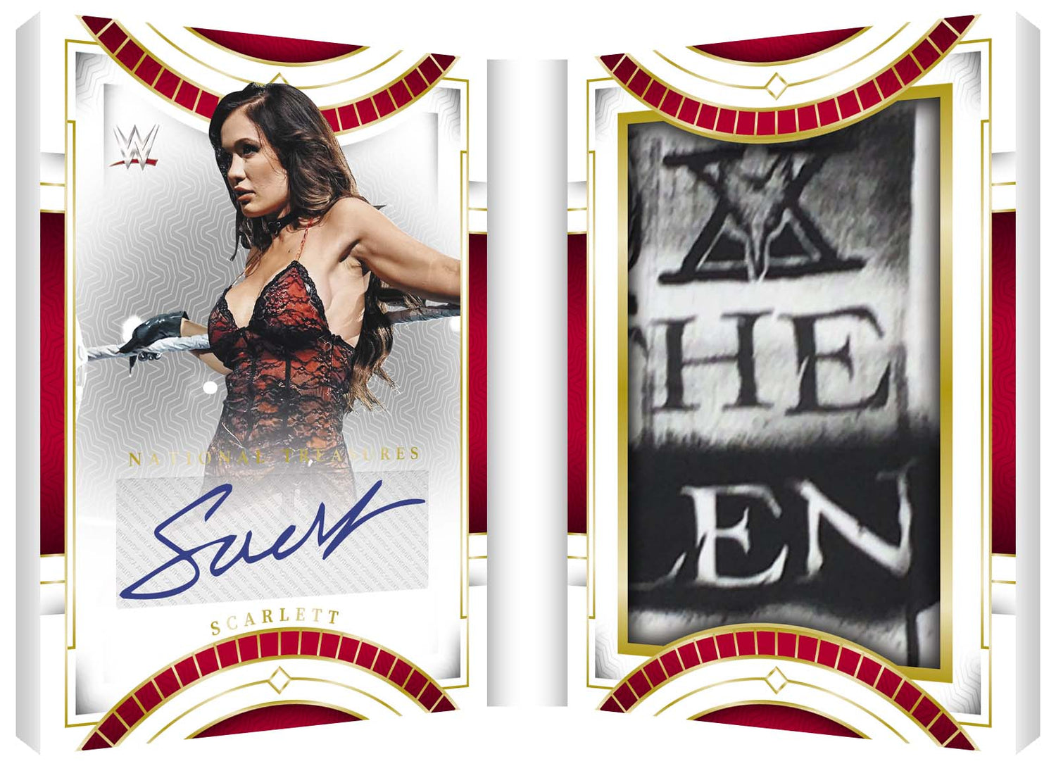 Panini National Treasures WWE Wrestling Hobby Box 2024