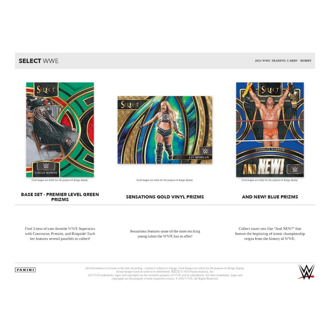 Panini Select WWE Wrestling Hobby International Box 2024