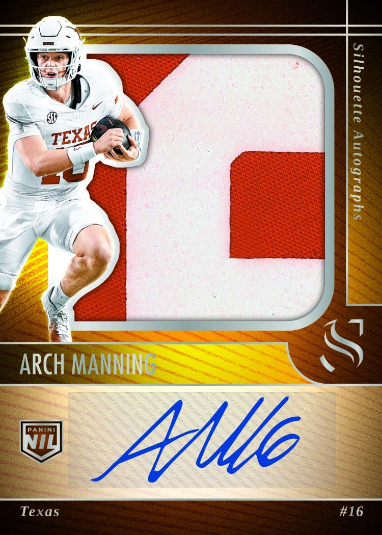 Panini Silhouette Football Hobby Box 2025