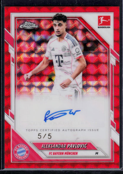 Aleksander Pavlovic [Auto] 5/5 (EN)