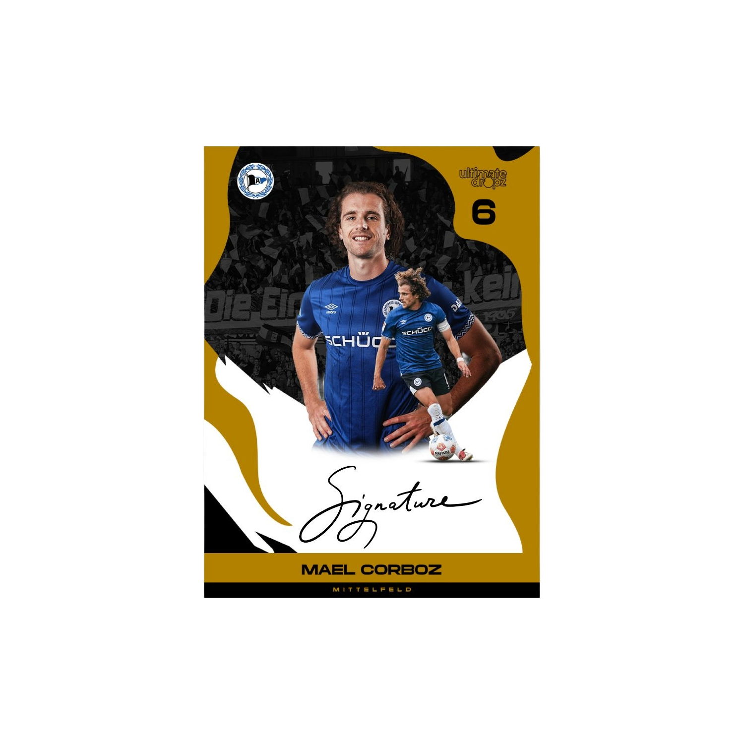 Ultimate Dropz Arminia Bielefeld – This is Arminia Box 2025