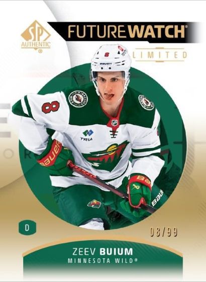 Upper Deck SP Authentic NHL Hobby Box 2025/2026